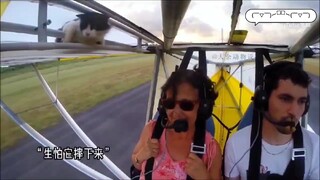 猫咪爬到飞机上乘凉，飞机起飞上天后才发现