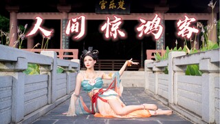 A fleeting marvel of the human world 🌸 A dashing tune dedicated to youth 【Lujiu】