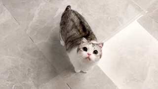 You love your sister that much?