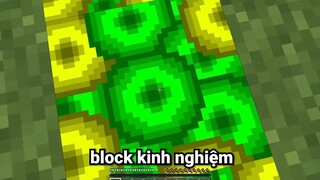 Minecraft nhưng mọi thứ Chạm Vào biến thành Kinh Nghiệm