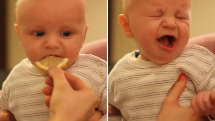 Video Lucu Bikin Ngakak - Baby Eats Lemon - Banget Bikin Ngakak Abis Ketawa/Kocak | VideoLucuTV