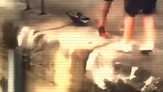 黑色衣服真的心碎了吧