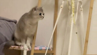 Tengah malam, ketahuan langsung olehku