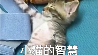 ลึกลับ ลึกลับ รีบมาเรียนเลย นักเรียนอันธพาลในโรงเรียนจู่ๆ ก็จูบคุณแรงๆ 🥰