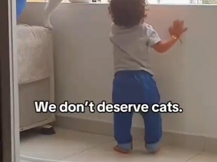 The world can't live without kittens! Taking care of kids feels so much more reassuring.