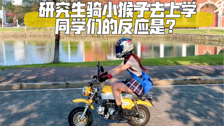 What’s your classmates’ reaction when you ride a little monkey to school?