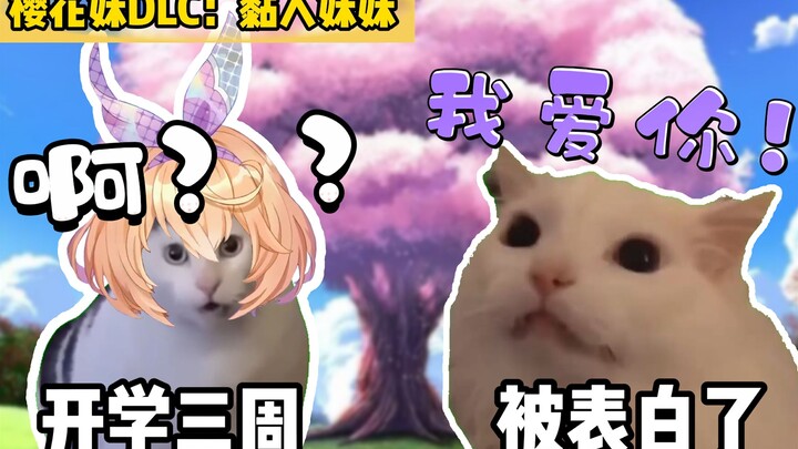 [Cat meme] After being rushed by a Sakura girl to deliver a lunch box, she also confessed to me... H