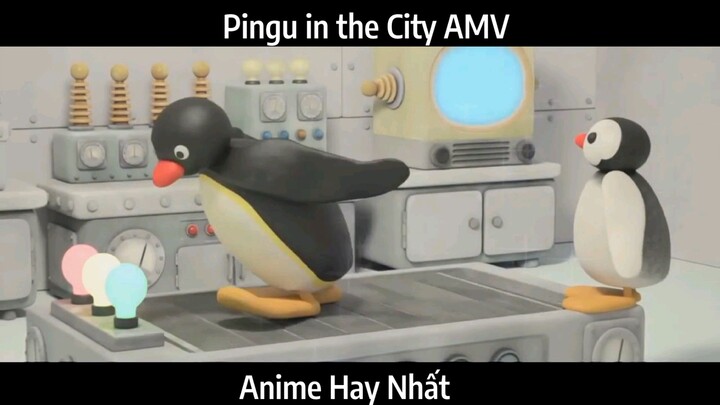 Pingu in the City AMV Hay Nhất