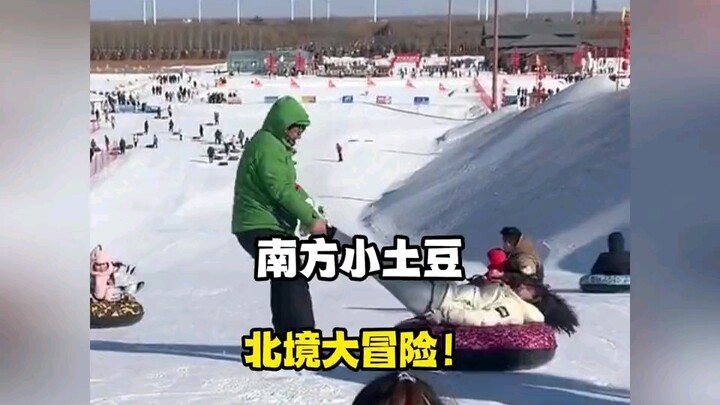 Bule kecil dari selatan lagi main salju, sementara orang utara malah main bule kecil!