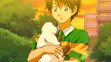 [Net King｜Echizen Ryoma & Karubin] Hoàng tử bé và chú mèo của anh ấy｜Trao cho em tất cả sự dịu dàng 