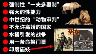 Kiến thức lạ lùng và kỳ quặc trên Bilibili lại tăng thêm rồi!