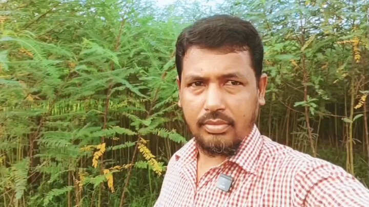 Welcome bilibili ছোট্ট একটি গ্রাম প্রকৃতির সৌন্দর্য। যেন একটি ফুটন্ত ফুলের বাগান