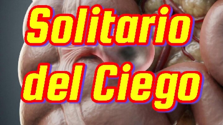 💊       El divertículo solitario del ciego