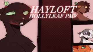 HAYLOFT II [warrior cats hollyleaf PMV ]