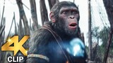 Battle On The Bridge Scene | KINGDOM OF THE PLANET OF THE APES (2024) Movie CLIP 4K