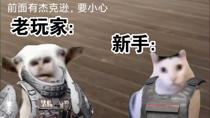 عندما يتحدث اللاعبون القدامى في المنطقة المظلمة مع المبتدئين: