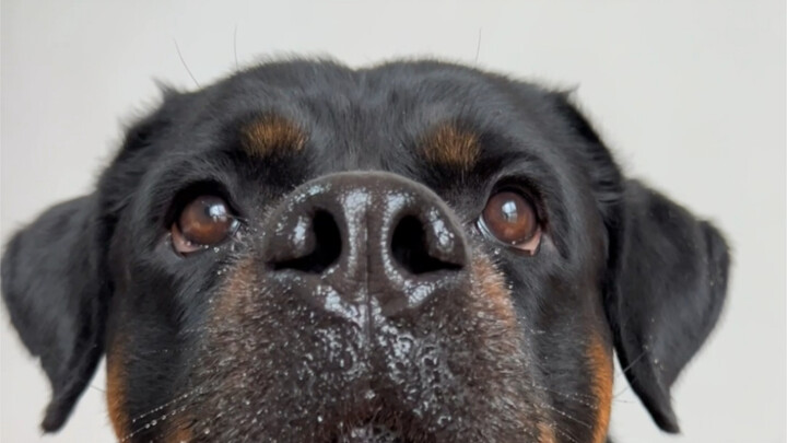 Not-so-good news, but not-so-bad news either.