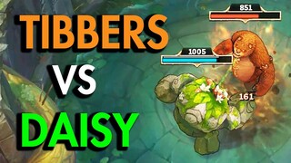 DAISY VS TIBBERS!