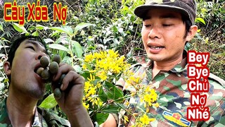 HÀNH TRÌNH RỜI XA CHỖ TRÚ ẨN ĐẾN VÙNG ĐẤT MỚI | Tập 30 | LOÀI CÂY ĐỘC NHẤT GÂY C.H.Ế.T NGƯỜI | HTV