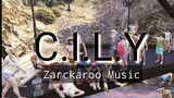 C.I.L.Y - Zarckaroo Ft. Briel San Pedro (LYRICS VIDEO)