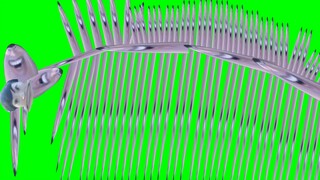 【4K】大家好啊，我是始祖说的道理