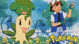 Pokémon Tập 202: Bayleaf Biến Mất!? Tìm thấy Ở Vườn Thảo Mộc! (Lồng Tiếng)