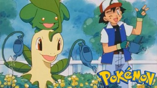 Pokémon Tập 202: Bayleaf Biến Mất!? Tìm thấy Ở Vườn Thảo Mộc! (Lồng Tiếng)