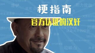 官方认证汉奸是什么梗【梗指南】
