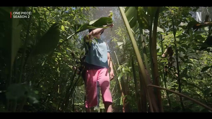 Luffy live action