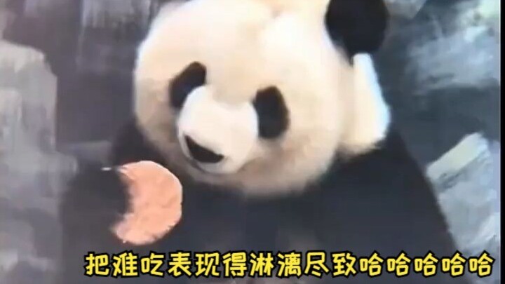 It perfectly captures how awful it tastes, hahaha!