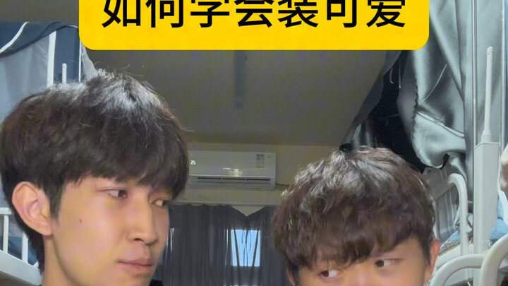 变得可爱起来了