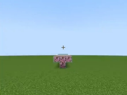 Minecraft: Sound Tracker vs. Iron Golem