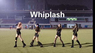 全员保研985的Whiplash车是什么水平
