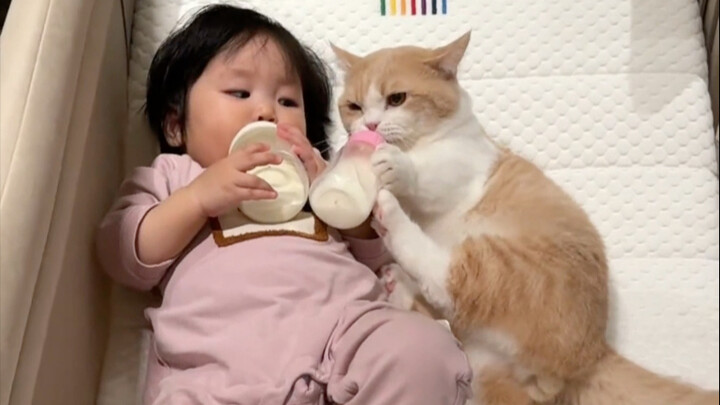 The happiest cat on the internet is not only a cuddle buddy for human babies but also showered with 