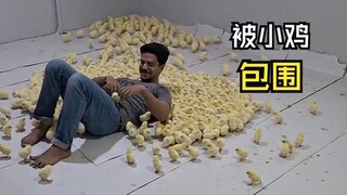 Such lovely animal videos!