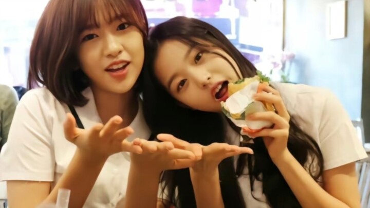 "Youyuan" on the first time seeing a puppy get angry, it was to protect his younger sister