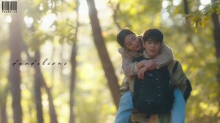 jin young seo & cha sung hoon » dandelions [business proposal]