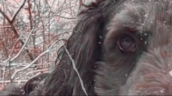 ⚔️🖤 #DieSchlacht by SakurayayaUwU is out now 🎵