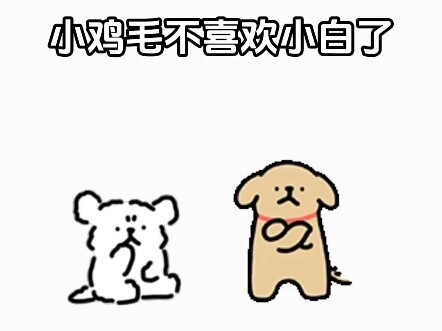 小鸡毛背着小白宝干嘛去了～