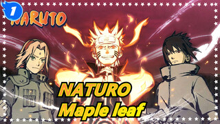 NATURO|【1080 P】Collection of maple leaf! Blow up your cranium!_1