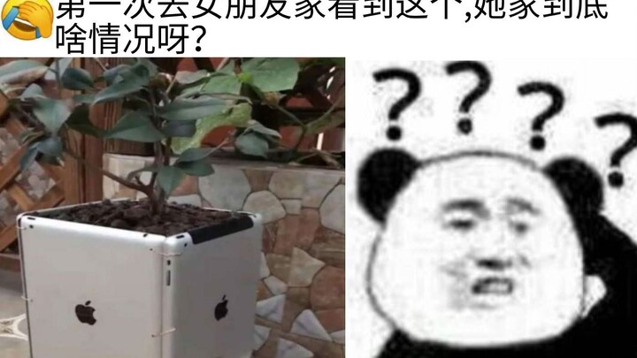 นี่คือเจอเศรษฐินีหรือเปล่าΣ(ﾟдﾟ;) ภาพขำขันสุดพังบนอินเทอร์เน็ต(｀・ω・´)| ตอนที่ 328