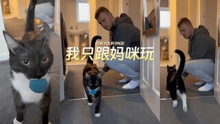 只跟妈咪玩的牛奶猫 😂