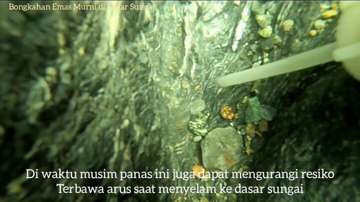 Mendadak Kaya : Lokasi Emas Murni di Dasar Sungai