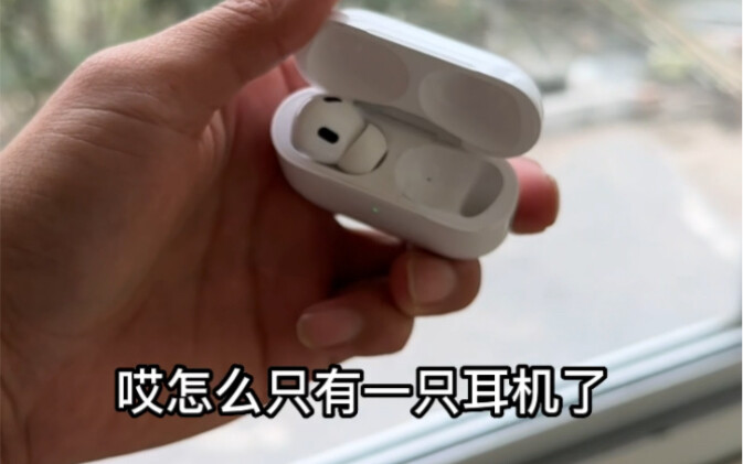 我的猫把我耳机吃了