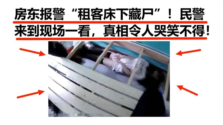 Landlord Calls the Police: “Tenant’s Corpse Is Hidden Under the Bed!” But When Officers Arrive, the 