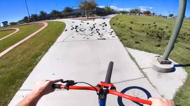 Cuối tuần của bạn trôi qua như thế nào?