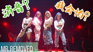 แฟนๆ Mamamoo ไม่เคยกลัวที่จะเงียบเสียง! นี่คือเหตุผล!