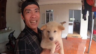 Săn Bắt ẩm Thực Vùng Cao Thịt Thú Cưng Của Vợ Và Cái kết Bất Ngờ | Tường Vy Vlog