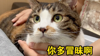 ไปตรวจสุขภาพยังถูกหมอหัวเราะเยาะ! ลูกหมูน้ำหนัก 5.5 กิโลกรัม รู้สึกจะหมดคำจะพูดแล้ว～