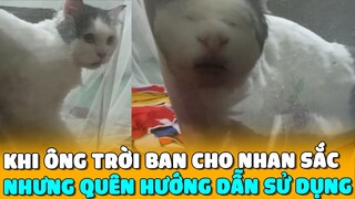 Khi Ông Trời BAN Cho NHAN SẮC Nhưng QUÊN HƯỚNG DẪN SỬ DỤNG | Siêu Thú Cưng